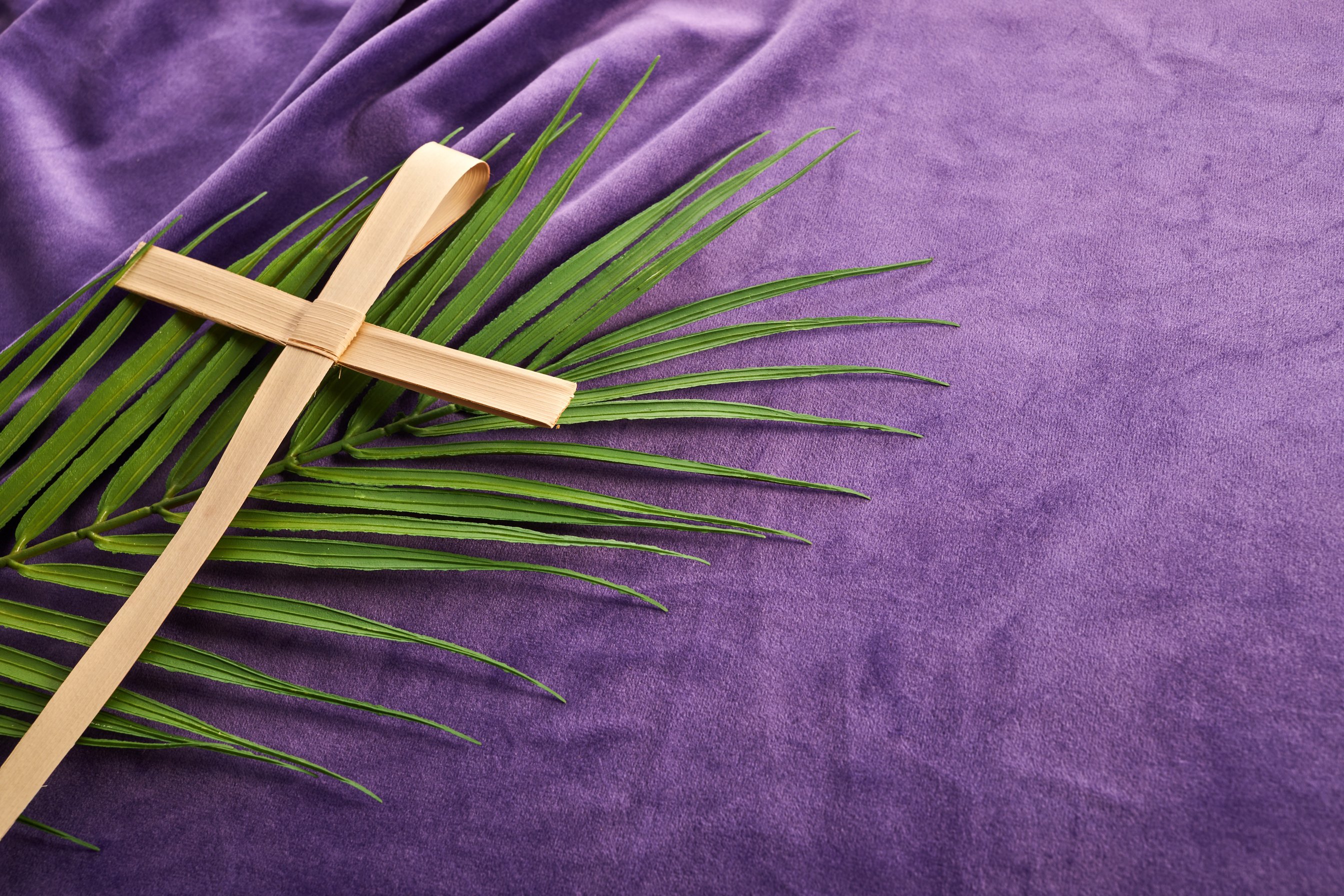 Lent Season, Holy Week and Good Friday Concept. Palm Leave and Cross on Purple Background